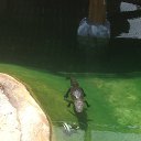 ���� �����, ���� - ��������� 26 ������ 2017 � ������ ���� ����������