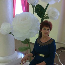 ������, ��������, 67 ���