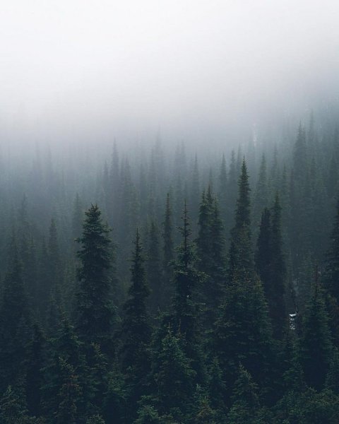 ������� ����-������ ���� - 8