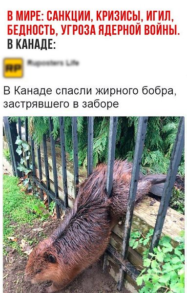    - 27  2017  19:54