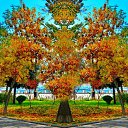  ,  -  24  2017                   Ѩ       һ