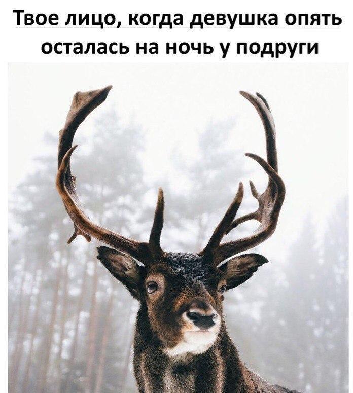    - 10  2017  23:00