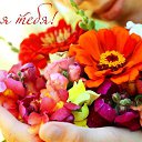 ���� �����, ������, 47 ��� - ��������� 30 ������ 2017 � ������ ���� ����������