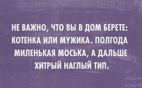   - 26  2017  19:31