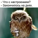 ���� �������, ��������, 56 ��� - ��������� 29 �������� 2017 � ������ ������ ��������