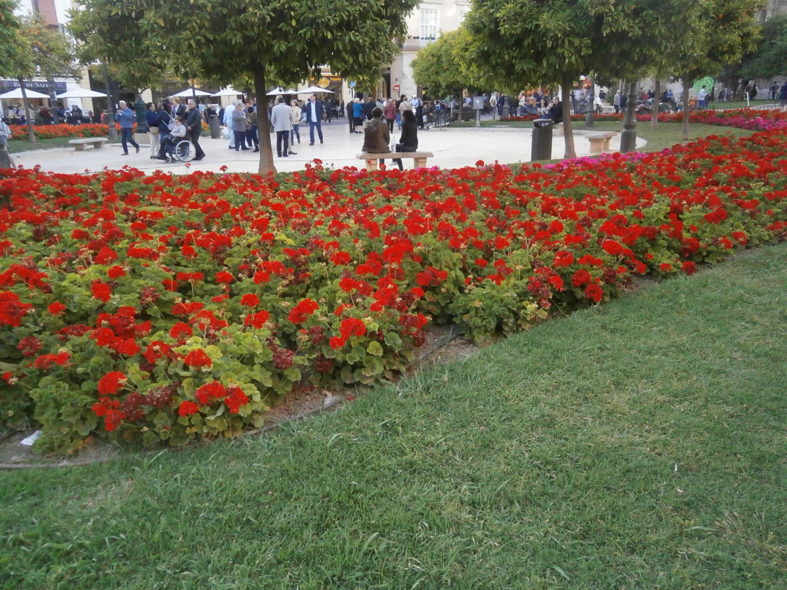 Manuel P - 24  2017  21:49