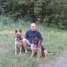 ����, �������, 56 ���