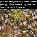  1, , 41  -  12  2017    