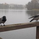 , -, 39  -  27  2017   TRAKAI (LITHUANIA)