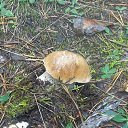 ���� �������, ������, 58 ��� - ��������� 16 �������� 2017 � ������ ���� ����������