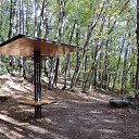  , , 60  -  16  2017        ,,14.10.17.