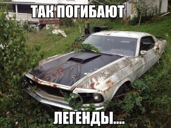 MOTOR -  ! - 13  2017  19:14