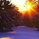 ���� ������, ������������ - ��������� 8 ������ 2017 � ������ ������� �������