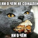 ���� �������, ���������, 56 ��� - ��������� 7 ���� 2017 � ������ ���� ����������