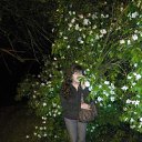 ���� ��������, ����, 57 ��� - ��������� 3 ���� 2017 � ������ ������ ��������