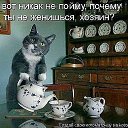 ���� ���������, ������, 65 ��� - ��������� 5 ��� 2017 � ������ ������ ��������