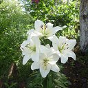 ���� ������, ������������, 47 ��� - ��������� 10 ��� 2017 � ������ ���� ����������