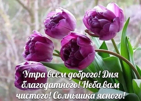 ***Victoria Viktorovna*** - 23  2017  04:15