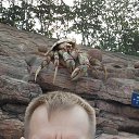 ���� ���, ������, 56 ��� - ��������� 9 ������� 2017 � ������ ���� ����������