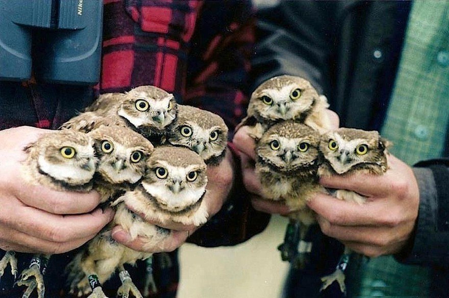 :3 - 8
