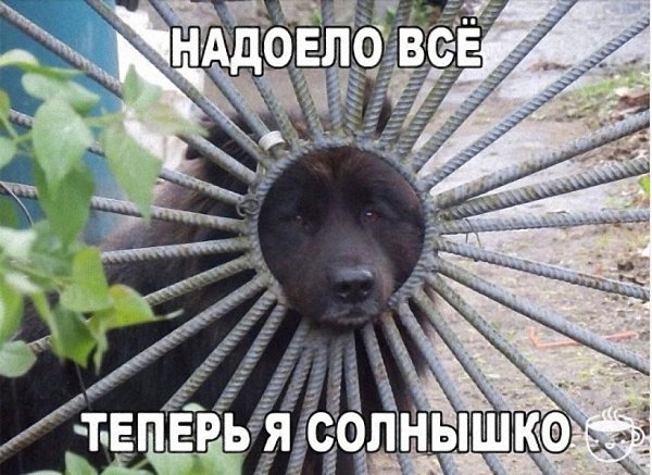   - 25  2017  14:44