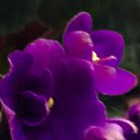 ���� �������, ������, 54 ���� - ��������� 11 ������ 2017 � ������ ���� ����������