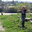 ���� ������ �������, ����, 53 ���� - ��������� 28 ������ 2017 � ������ ������� ������ 2017�