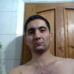 �������, ���������, 41 ���