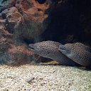 ���� ������, ������ - ��������� 27 ���� 2017 � ������ ���� ����������
