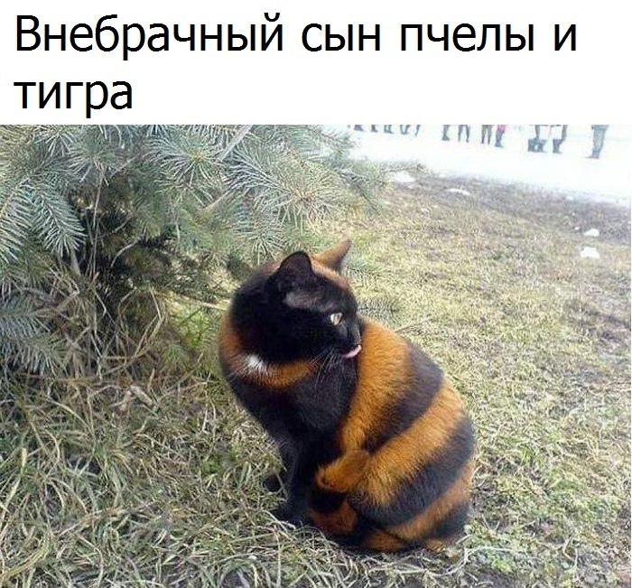  - 10  2017  18:39