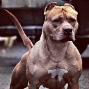 ���� ������, ������, 45 ��� - ��������� 5 ���� 2017 � ������ ���� ����������