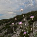 ���� ����, ������ - ��������� 5 ���� 2017 � ������ ������ ��������