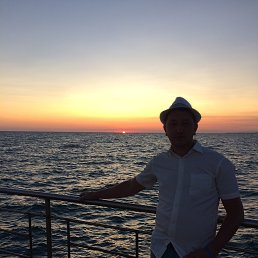 , 33 , 