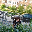  , , 40  -  26  2017   18.00.2017     ))