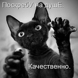 ���� ������, ��������, 47 ��� - ��������� 29 ���� 2017
