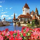 ���� �����, ������ - ��������� 9 ������� 2017 � ������ ������ ��������