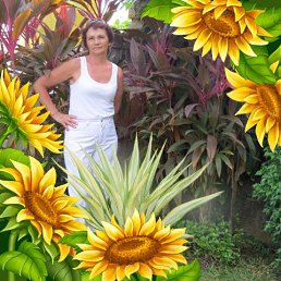 ����, ��������, 75 ���