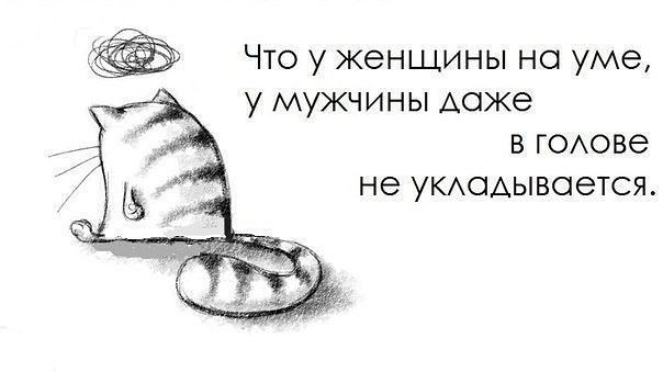 ������ ����� - 4 ������ 2017 � 03:31