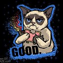 ���� ����, ����, 28 ��� - ��������� 15 ������ 2017 � ������ ���� ����������