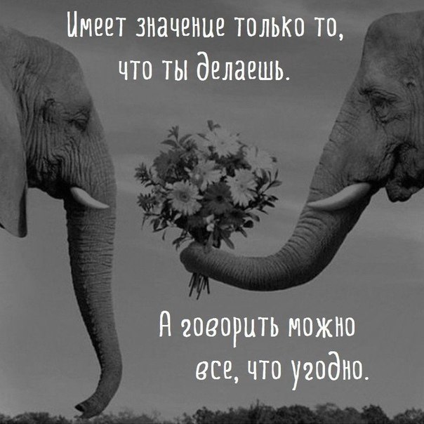   - 7  2017  16:39