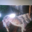 ���� Andrey, �����-���������, 62 ���� - ��������� 18 �������� 2017 � ������ ���� ����������