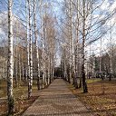  ,  -  ))), , 50  -  23  2017    