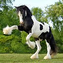 ���� ���������, ������, 59 ��� - ��������� 15 ������ 2017 � ������ ���� ����������