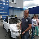  , --, 41  -  28  2017