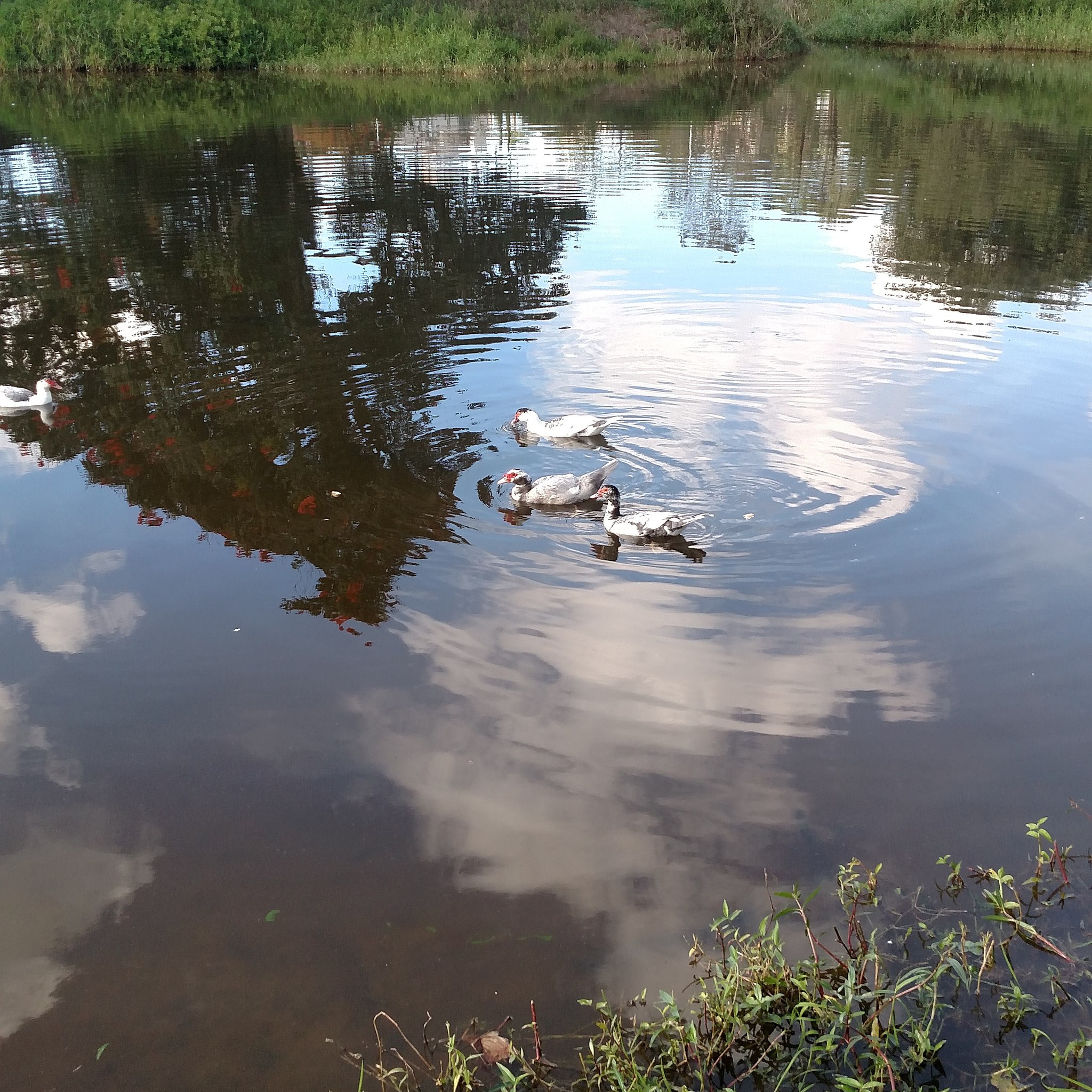 ���� ������ ����������, ��� �� ��������� �������������)))...