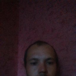 �����, ���������, 38 ���