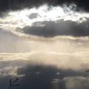 ���� �����, ��������, 46 ��� - ��������� 7 �������� 2017 � ������ ������ ��������