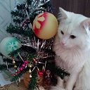 ���� �����, ���� - ��������� 10 ��� 2017 � ������ ������ ��������