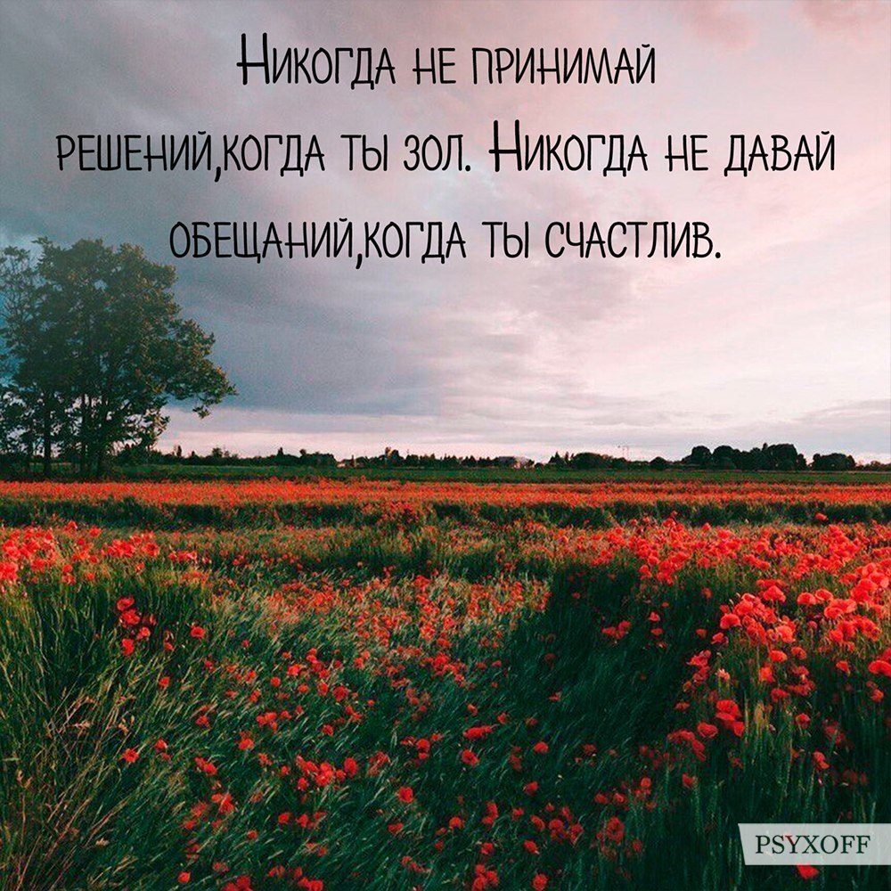  | ,  - 17  2017  12:01