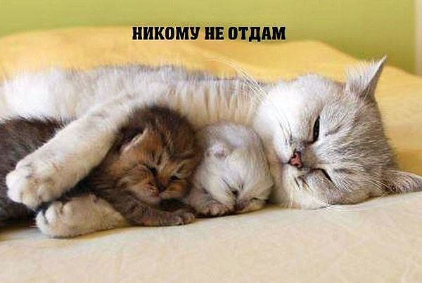  -- )))